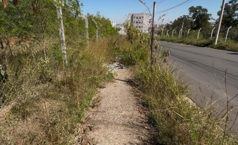 Vereador questiona Prefeitura sobre serviços de conservação e manutenção urbana