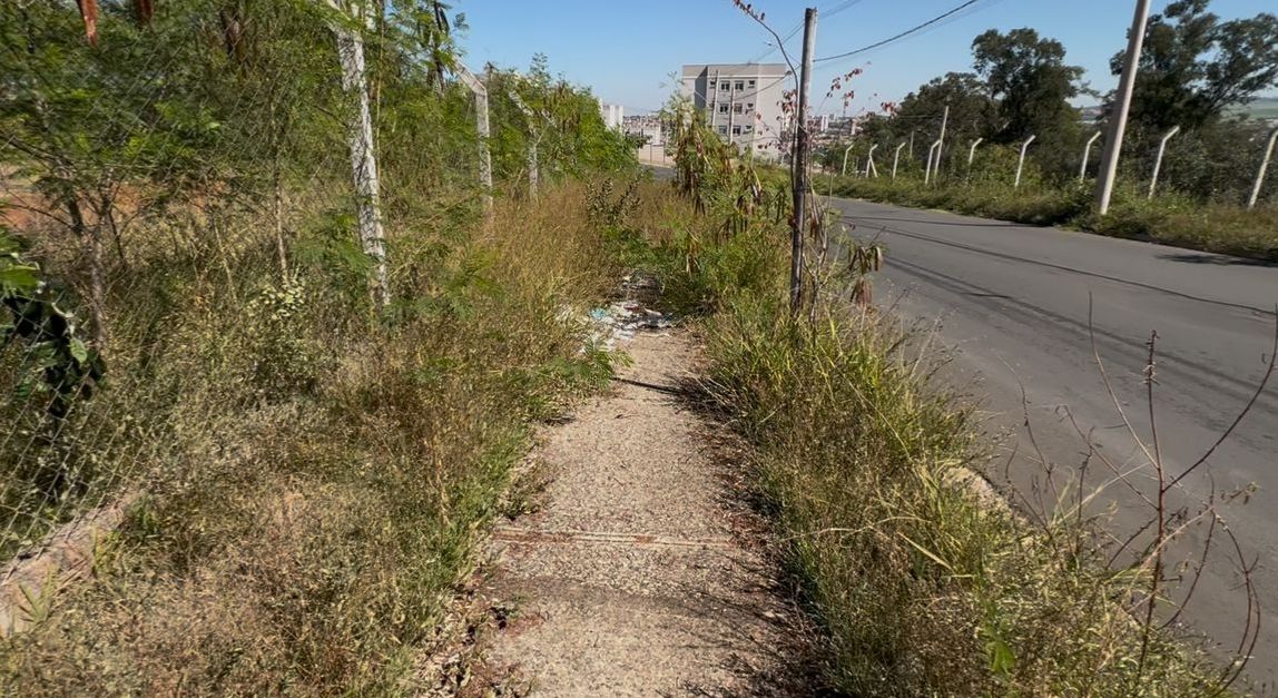 Vereador questiona Prefeitura sobre serviços de conservação e manutenção urbana