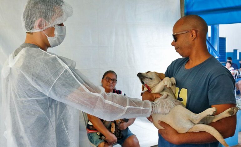 Jd. São Lourenço terá mutirão de castração gratuita de pets no fim de semana