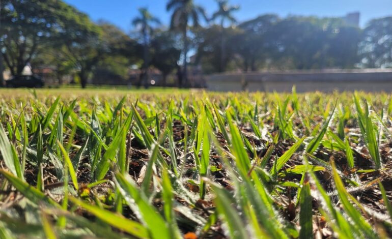 Com geada e temperatura abaixo de zero, Limeira reforça abordagem a pessoas em situação de rua