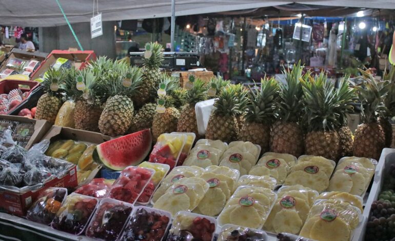 Parque Cidade terá feira livre aos sábados de manhã