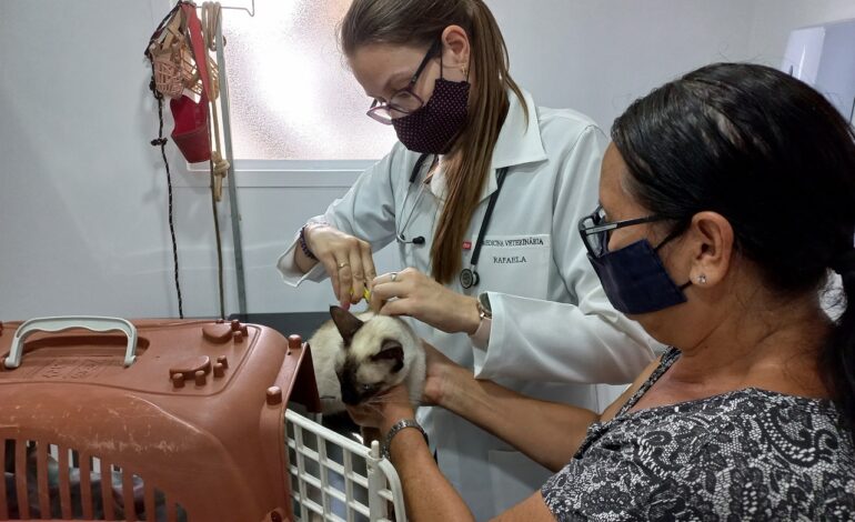 Após aprovação na Câmara, Prefeitura promete clínica veterinária gratuita em novembro