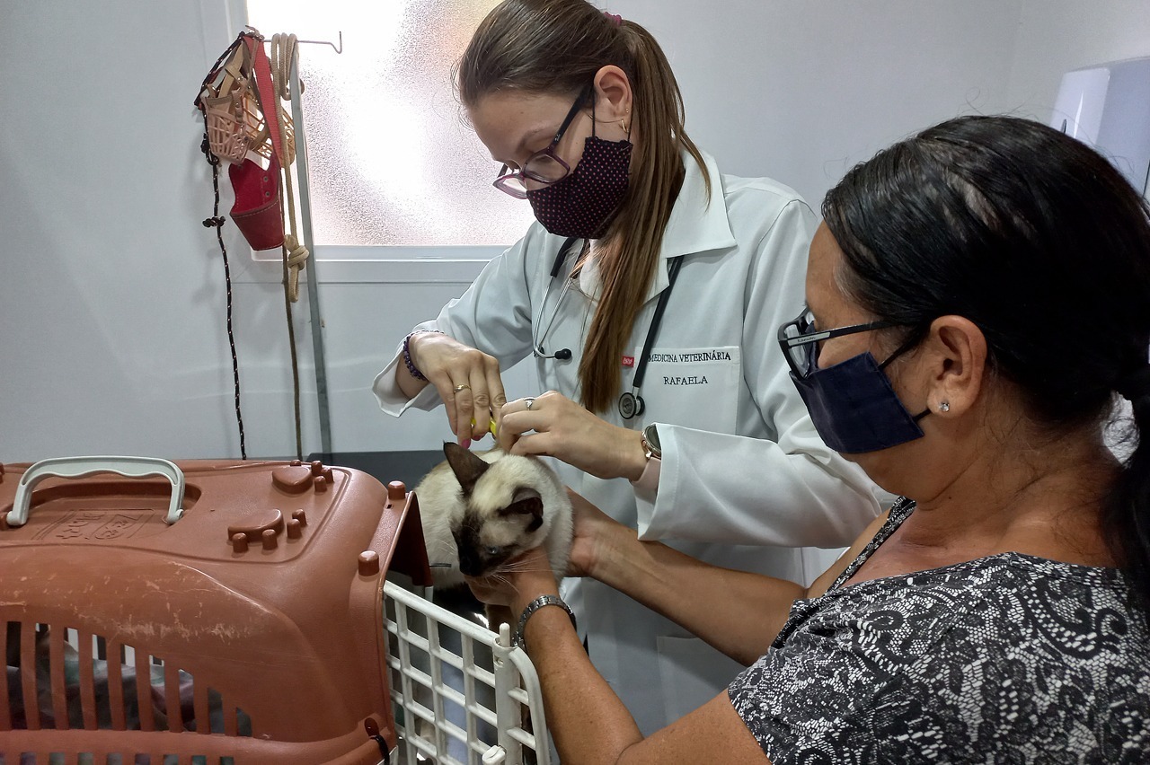 Após aprovação na Câmara, Prefeitura promete clínica veterinária gratuita em novembro