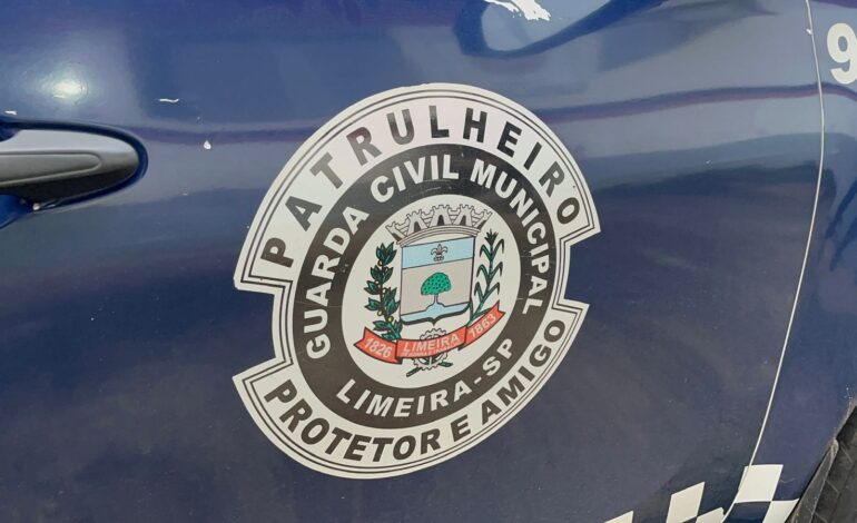 Adolescentes e criança de 10 anos são apreendidos após tentativa de furto de cavalos no Horto Florestal de Limeira