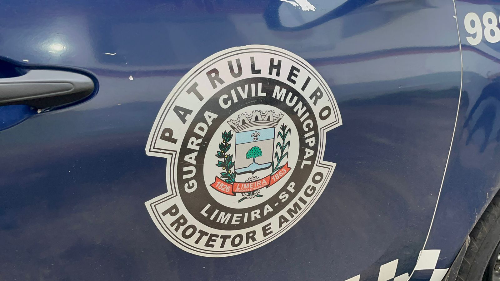 Adolescentes e criança de 10 anos são apreendidos após tentativa de furto de cavalos no Horto Florestal de Limeira