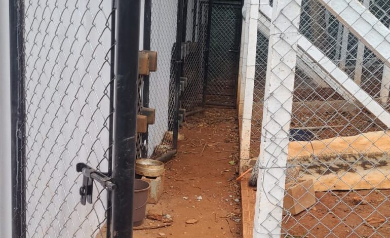 Obra do Canil Municipal em Iracemápolis avança e atinge 75% de execução