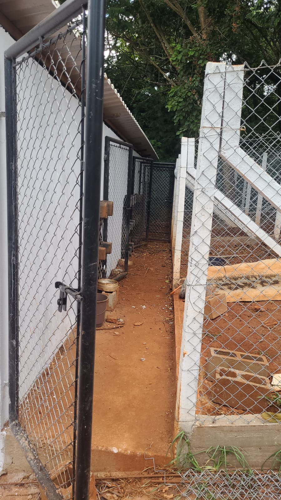 Obra do Canil Municipal em Iracemápolis avança e atinge 75% de execução