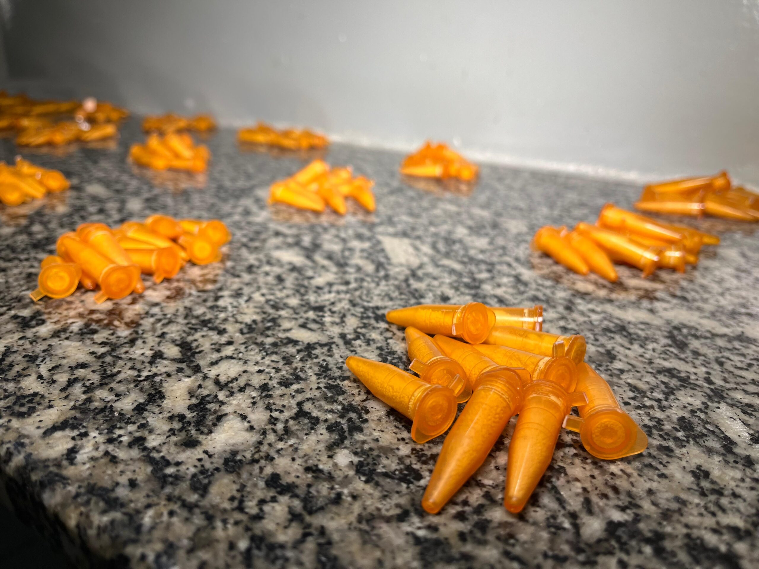 Menor tenta fugir da PM, é apreendido com cocaína e aves silvestres em Limeira