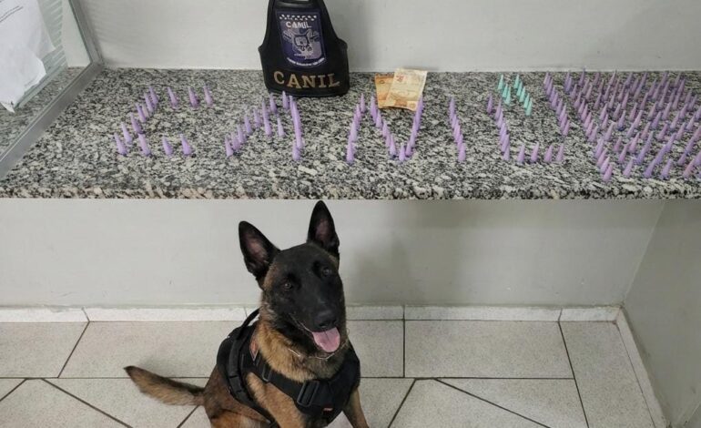 Adolescente de 13 anos é apreendido por tráfico no Ouro Branco em Limeira