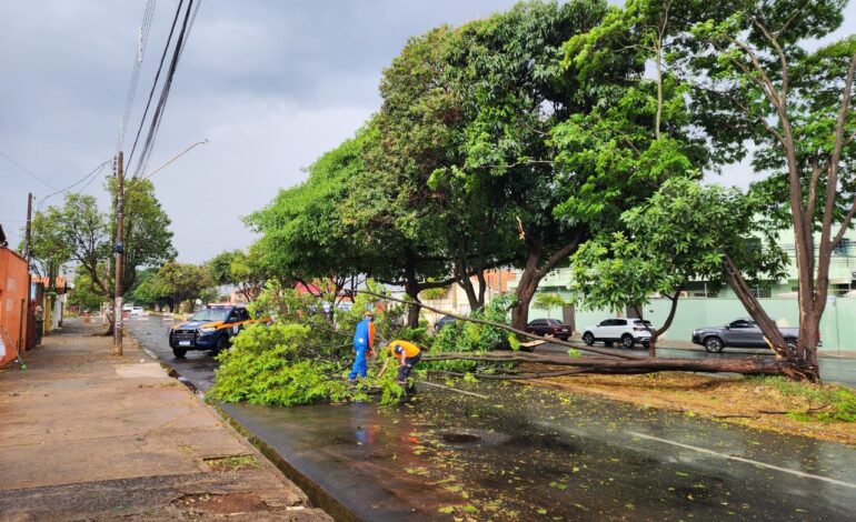 Chuva deixa estragos e Defesa Civil alerta para previsão de novos temporais em Limeira