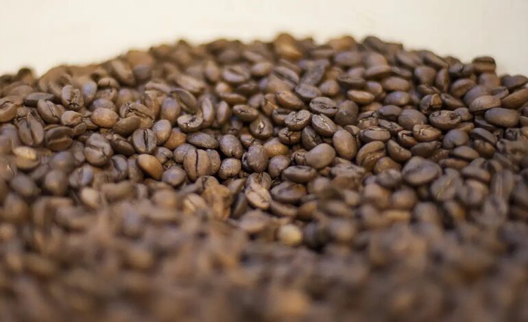 China autoriza 183 empresas brasileiras a exportarem café para o país