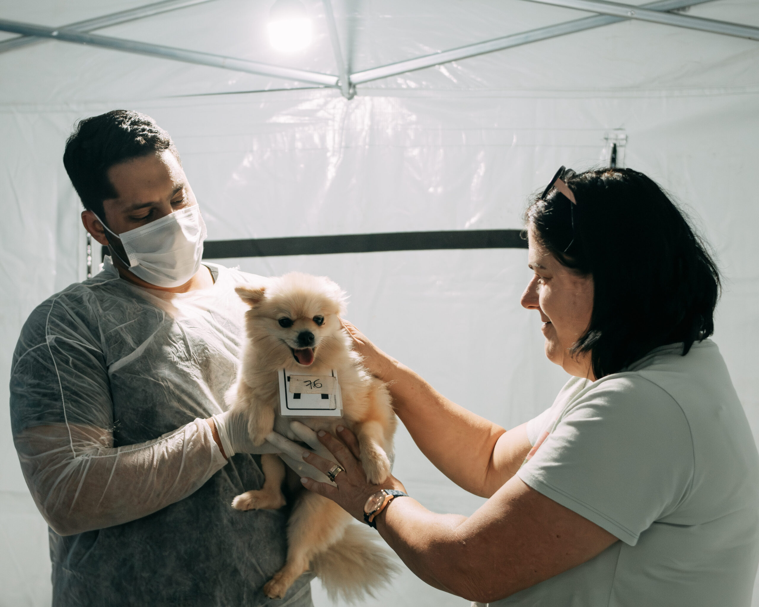Bosque Prefeita Maria Thereza terá Castra + Limeira