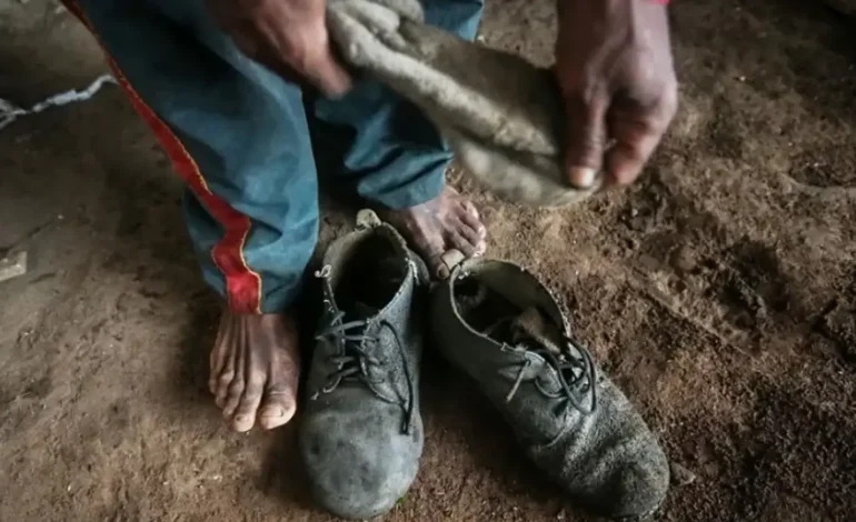 Amado Batista e BYD são incluídos em lista de trabalho escravo do MTE