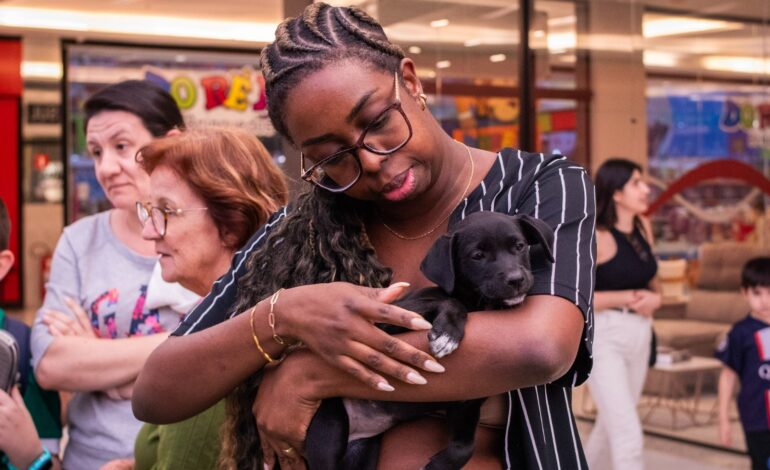 Cãezinhos encontram nova família em evento de adoção