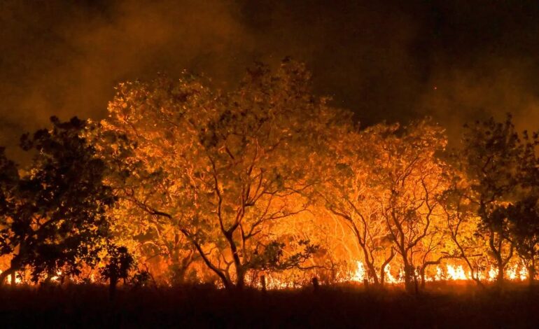 Estado de São Paulo está na semana de maior risco para incêndios