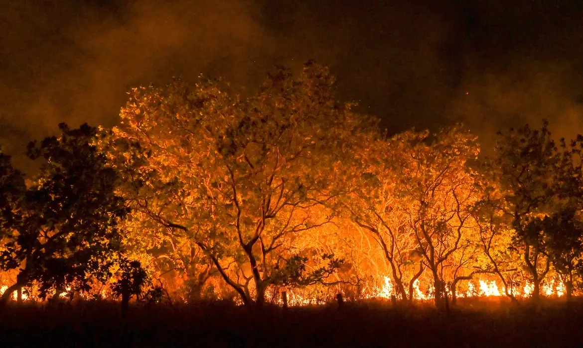 Estado de São Paulo está na semana de maior risco para incêndios