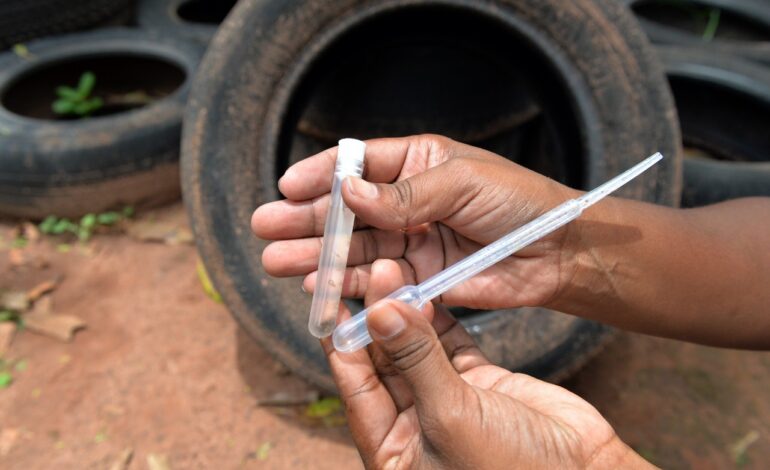 Região do Hipólito recebe mutirão contra a dengue neste sábado (19)