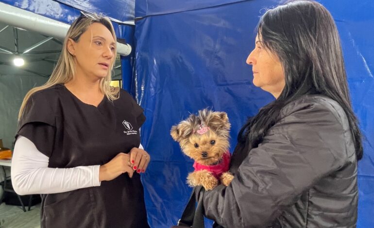 Próximo mutirão de castração gratuita de cães e gatos será no Nossa Senhora das Dores