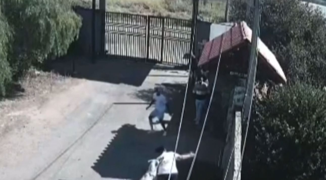 Jovem é atacada por pitbull durante evento em chácara de Limeira